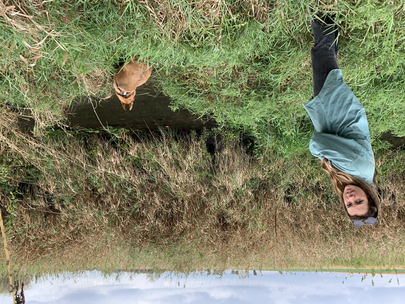 It started as an abused farm tract